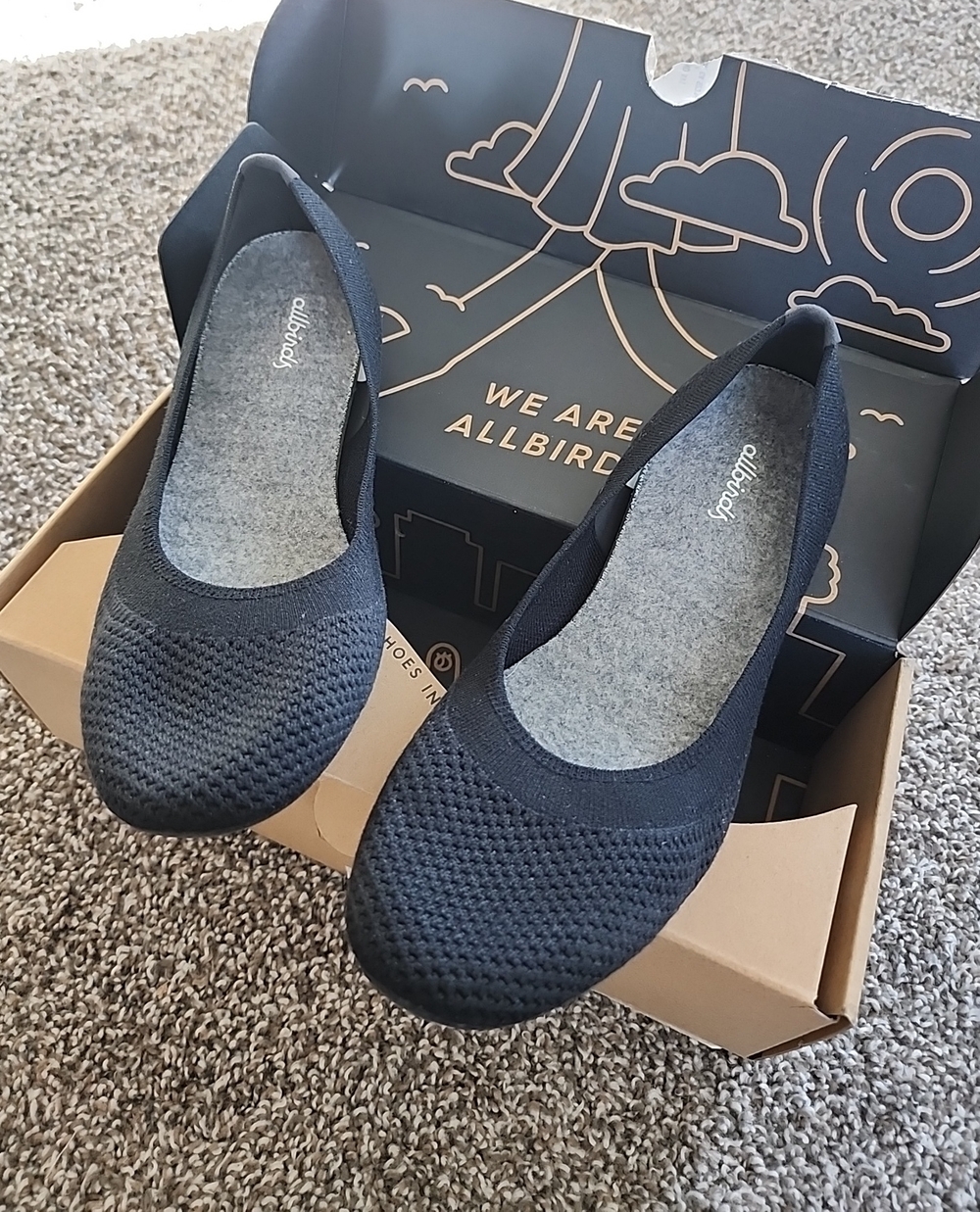 allbirds Black Tree Breezers Women’s Knit Flats